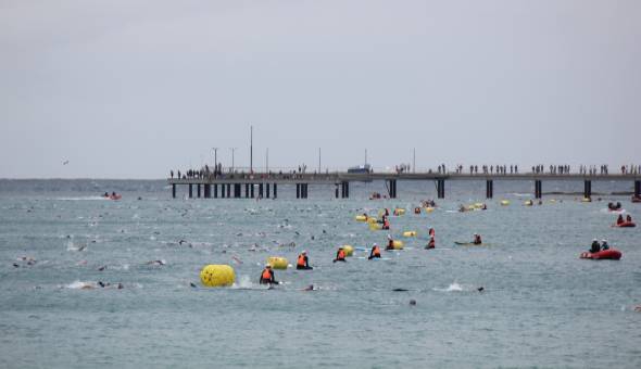 Summer Holiday Ocean Swim Events (Australia & New Zealand)